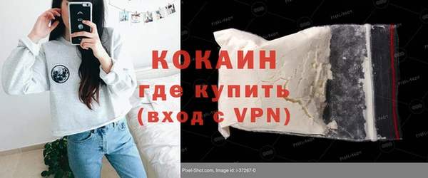 СК Алексин