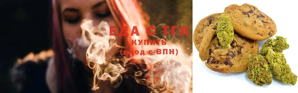 СК Алексин