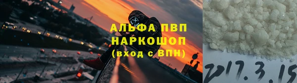 СК Алексин
