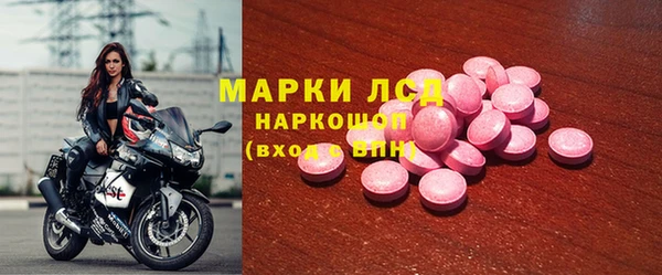 СК Алексин